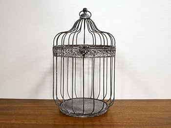 アンティーク バードゲージ プランター 鳥籠 楽天市場】プランター 鳥 バード バードゲージ 鳥籠 クラシック